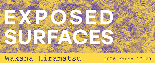 平松和佳奈 個展 – Exposed Surfaces – (3/17 – 3/29)