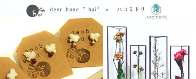 deer bone "hai"×ハコミドリ fair (5/23〜6/5)