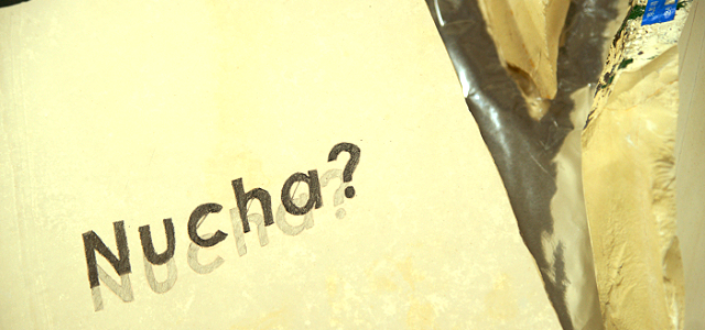 Nucha? (11/13~19)