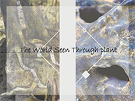 グループ展「The World Seen Through Plant」(11/15～11/21)